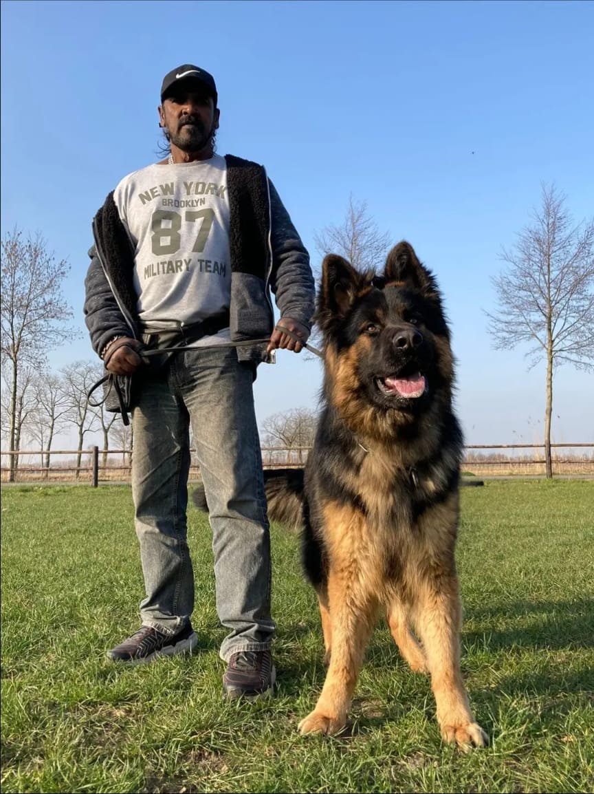 Intelligence and Trainability (image credits: wikimedia)