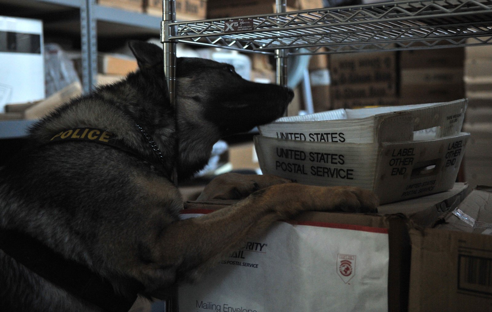 Popularity in Working Roles (image credits: wikimedia)