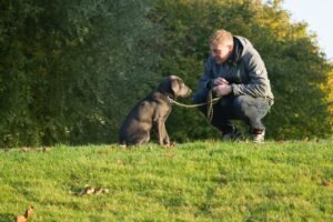 Can A Dog Sense Illness in You?