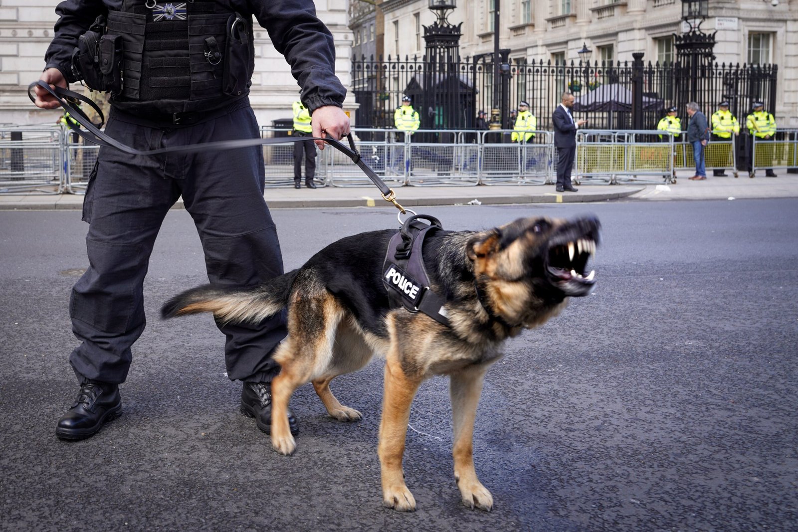 Offering a Sense of Security (image credits: wikimedia)