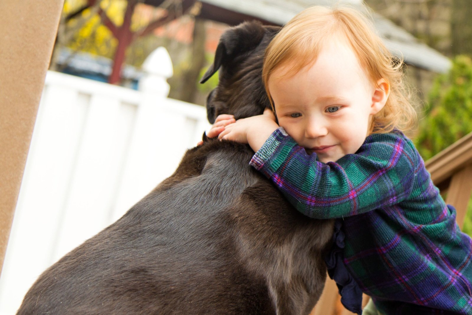 The Art of Unconditional Love (image credits: wikimedia)