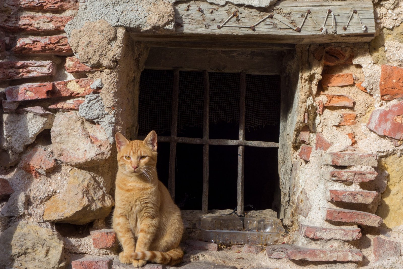 Respecting Their Boundaries (image credits: wikimedia)