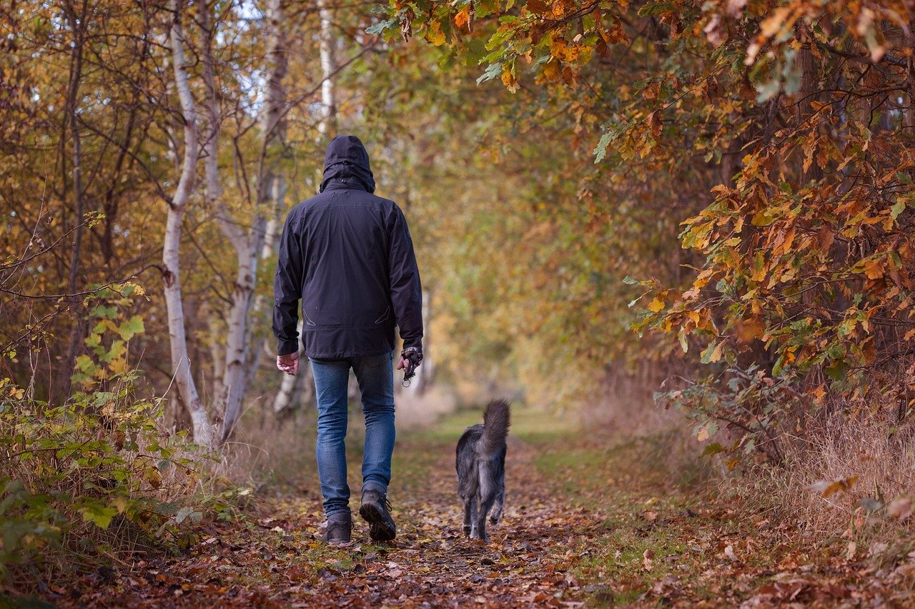 Trust and Dependence (image credits: pixabay)