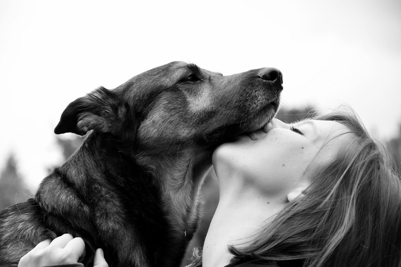 Enhanced Emotional Resilience (image credits: pixabay)
