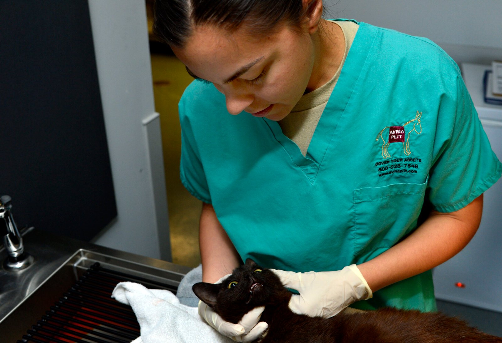 6. Routine Veterinary Visits (image credits: wikimedia)