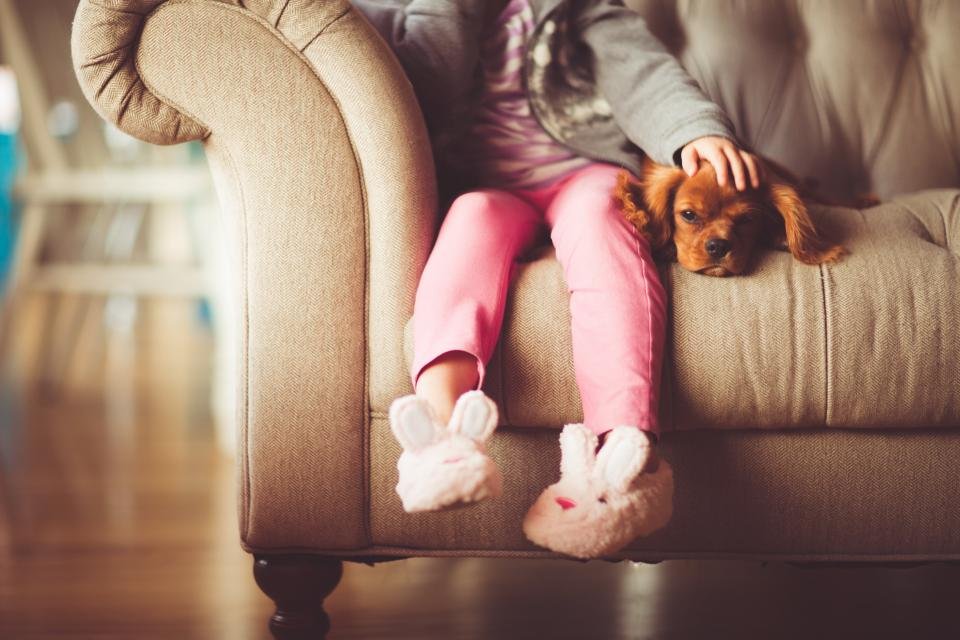 How Unique Dog Breeds Stand Out in Family Homes