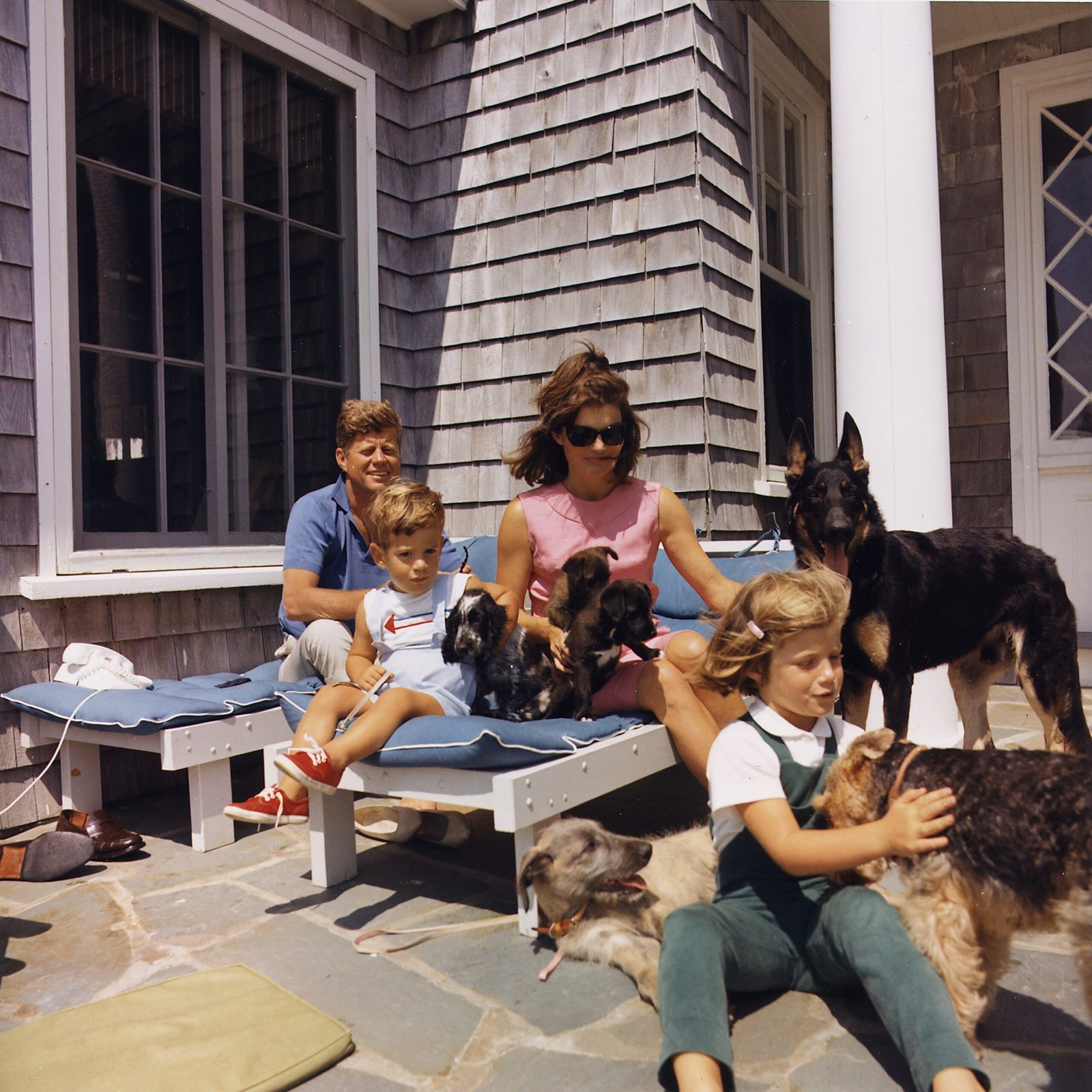 Conclusion: Finding the Perfect Canine Companion (image credits: wikimedia)