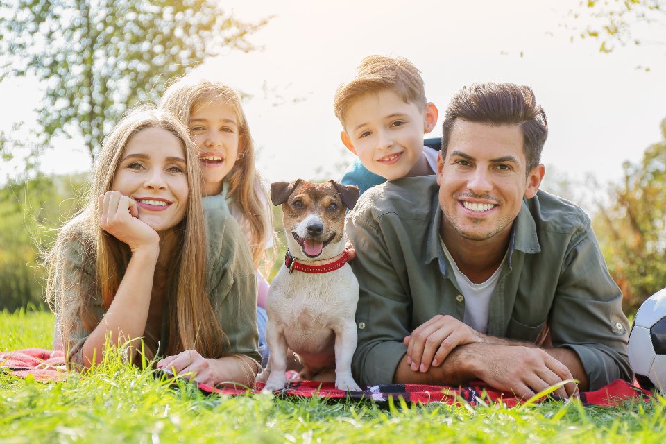 Include Them in Family Activities (image credits: stocksnap)