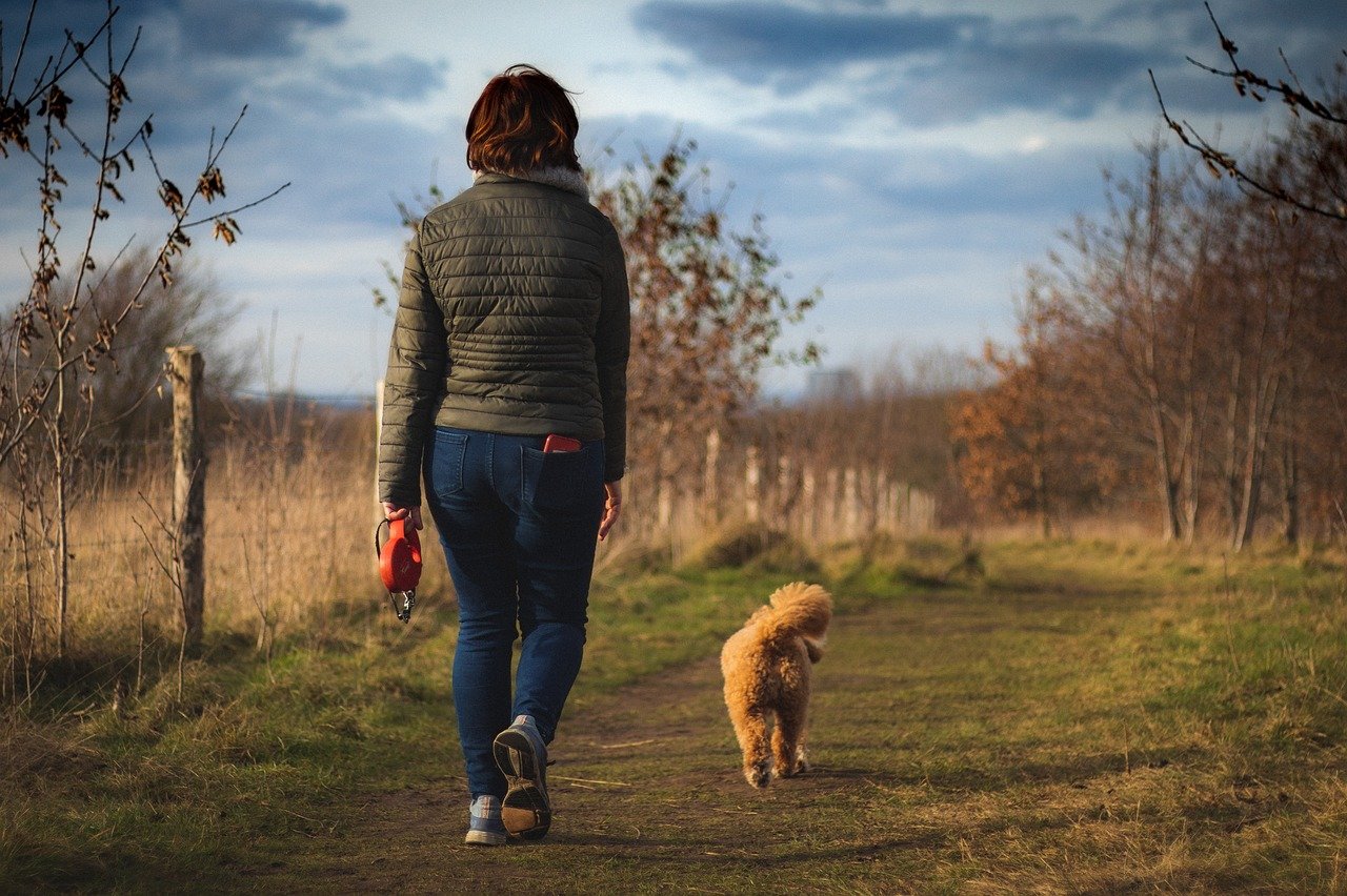 1. Morning Walks: A Fresh Start (image credits: pixabay)