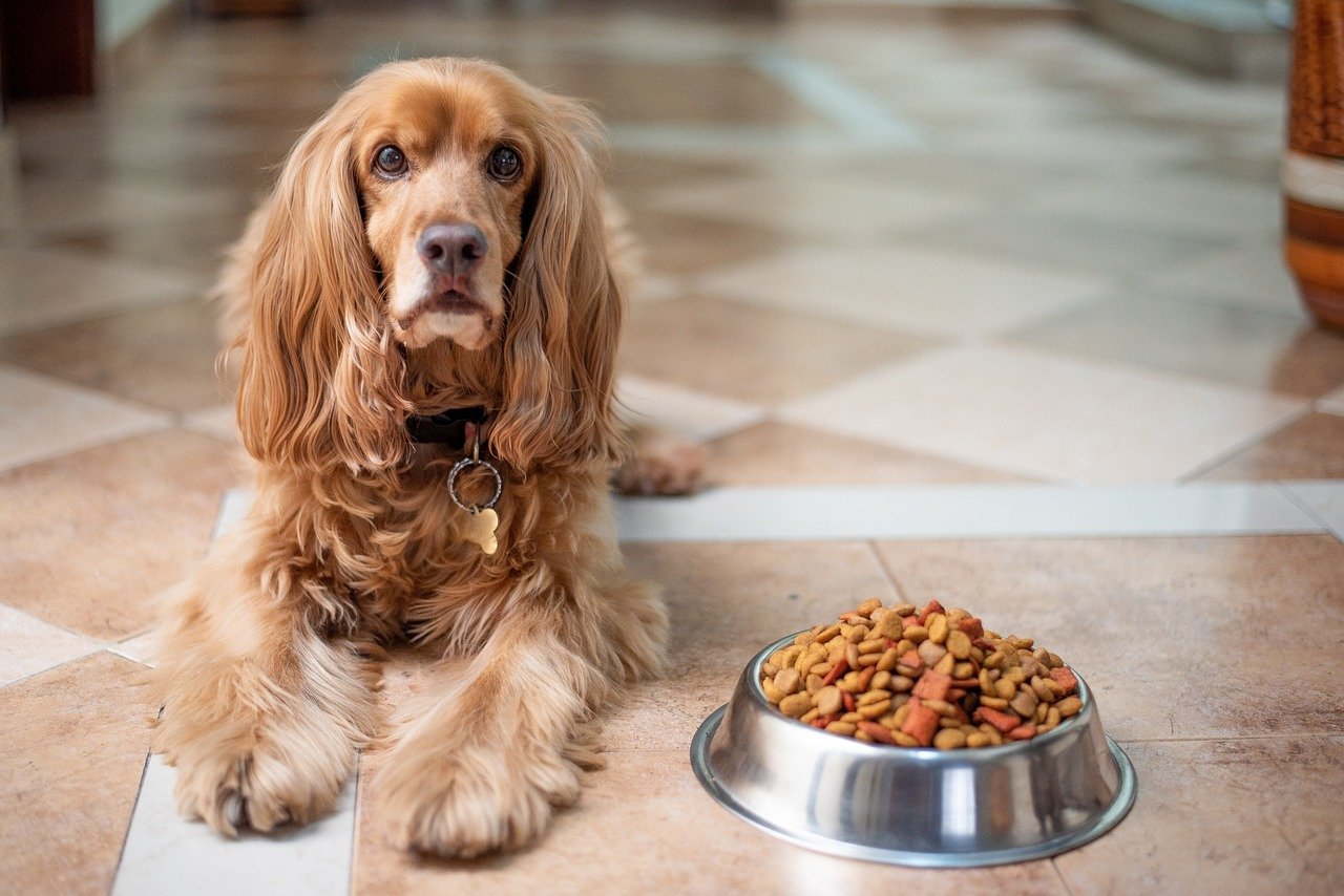 Changes in Appetite (image credits: pixabay)