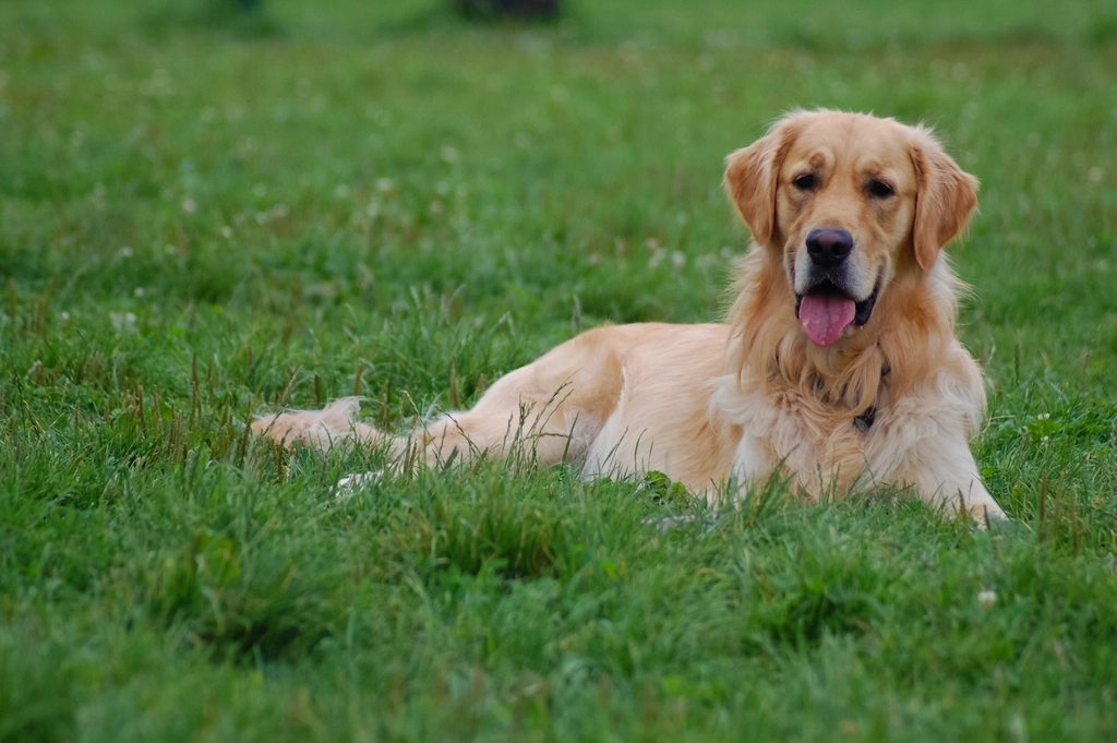 Relaxed Body Language (image credits: rawpixel)