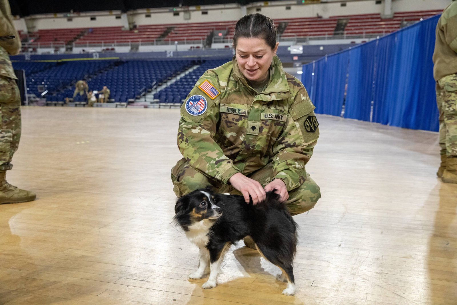 Recognizing Stress Signals in Dogs (image credits: wikimedia)