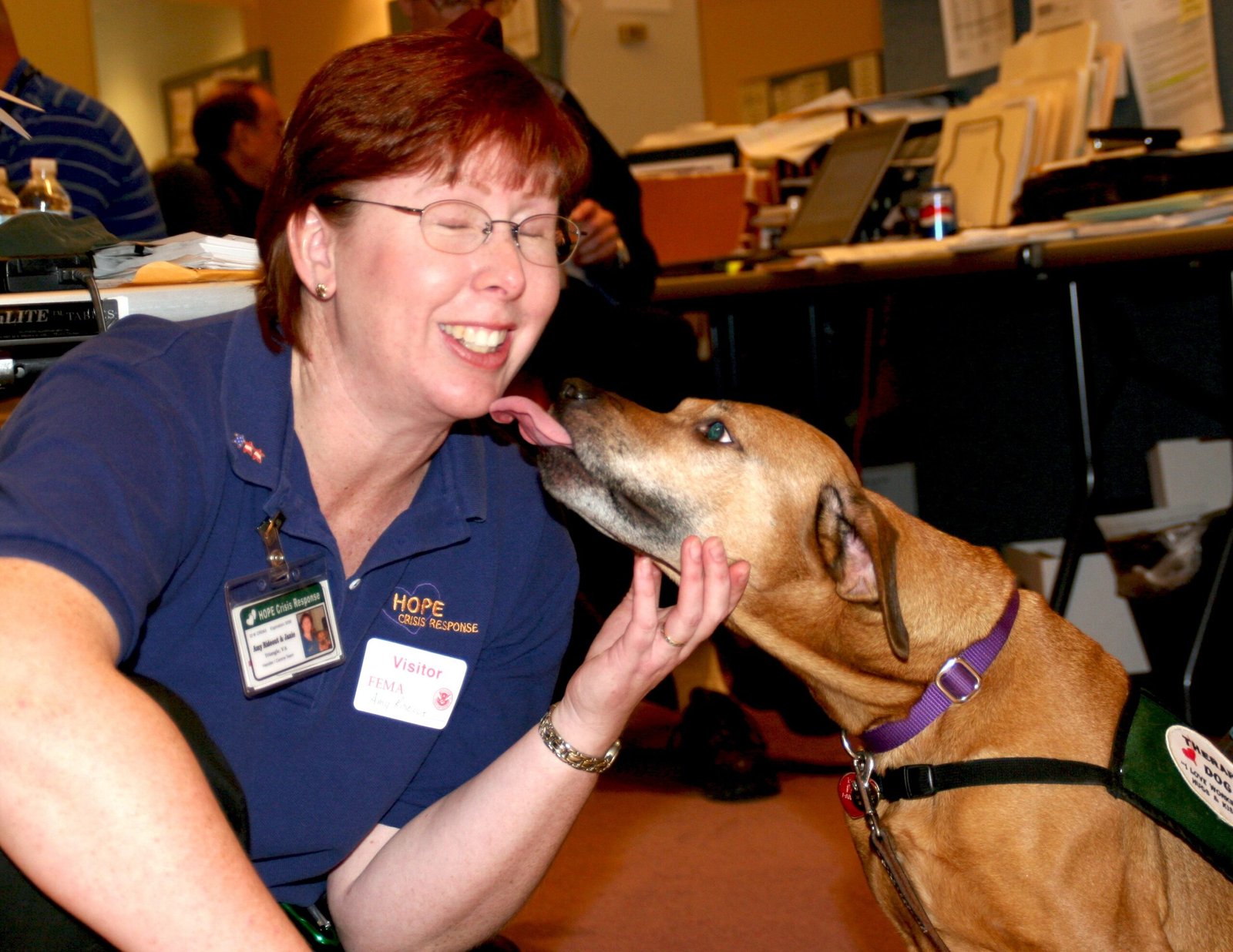 Helping Your Dog Cope with Stress (image credits: wikimedia)