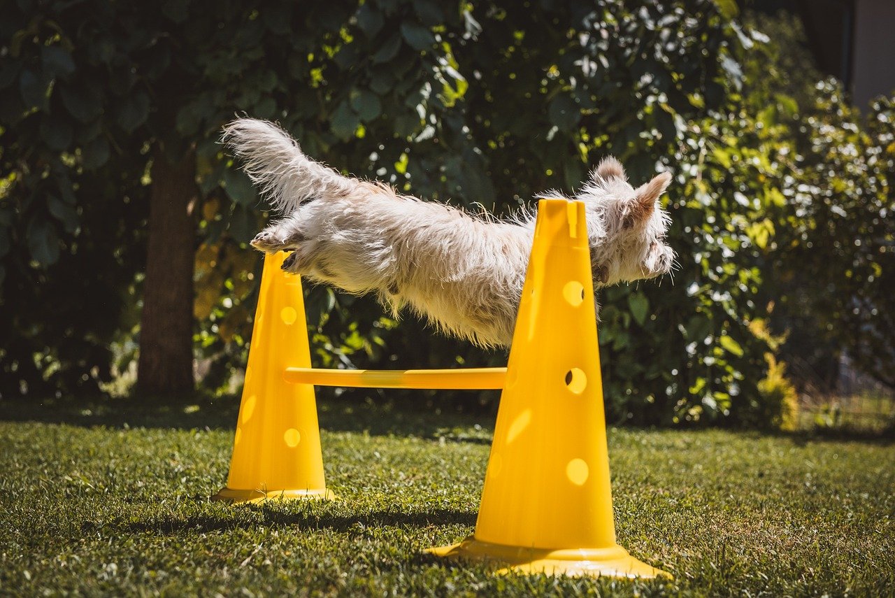 Overcoming Challenges with the Three C's (image credits: pixabay)