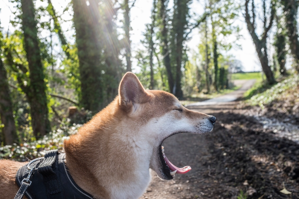 Yawning With You: A Surprising Connection (image credits: rawpixel)