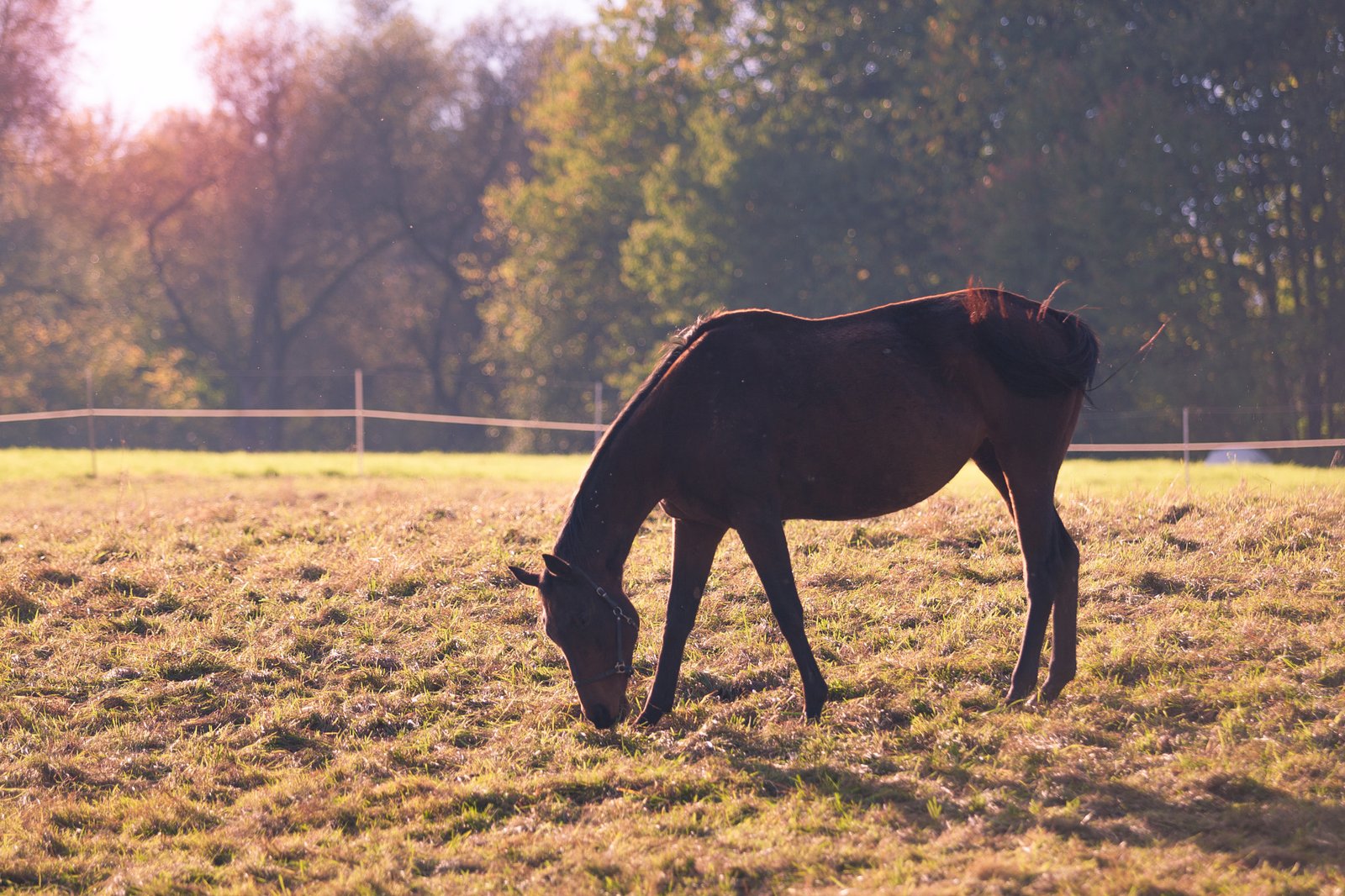 Building Emotional Resilience (image credits: wikimedia)