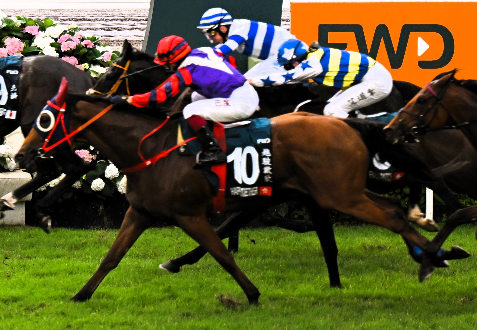 The Joy of Small Victories (image credits: wikimedia)