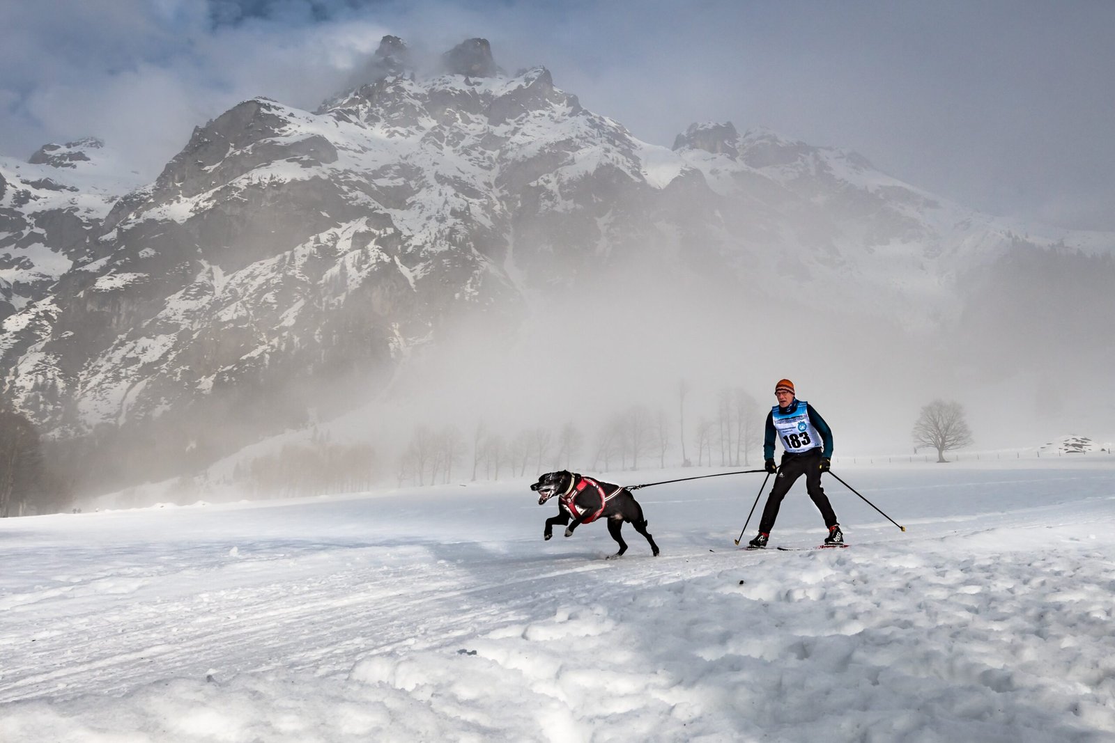 Why Your Dog’s Morning Routine Strengthens Your Connection
