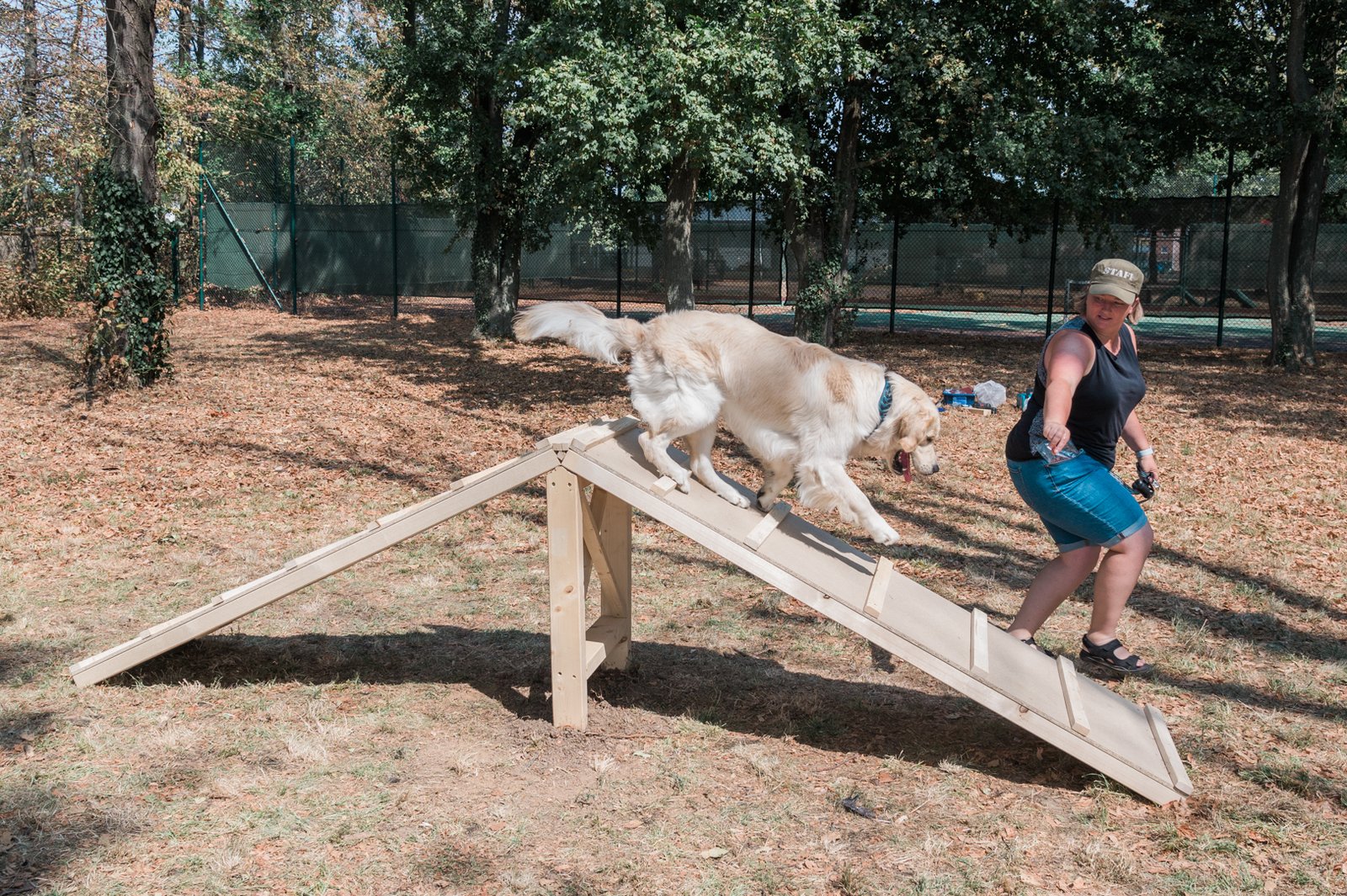 Obstacle Course (image credits: wikimedia)