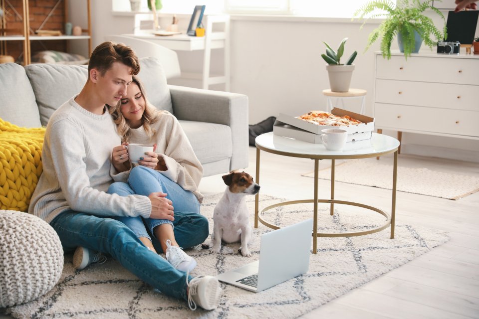 Living Harmoniously with a Quiet Dog (image credits: stocksnap)
