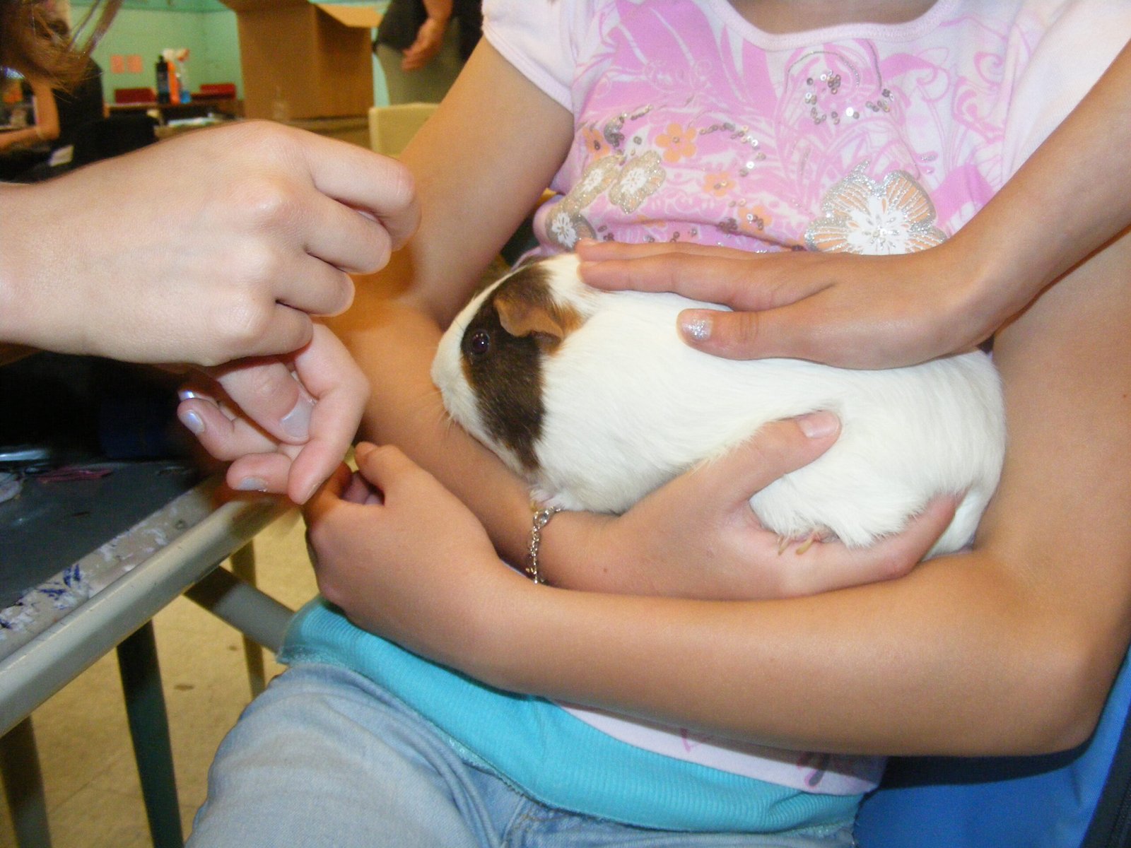 Snuggling: The Comfort of Close Contact (image credits: wikimedia)