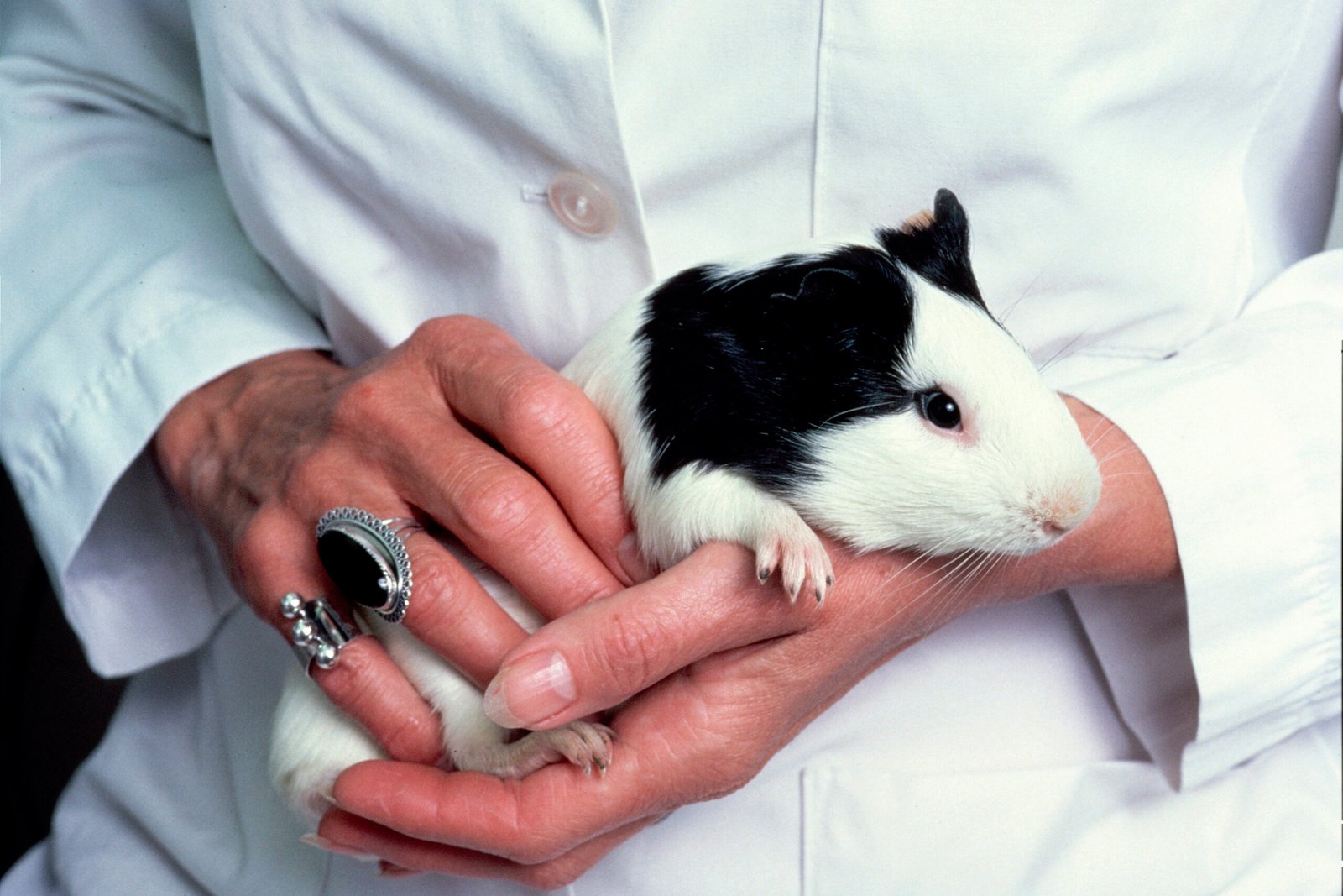 Unique Behaviors: The Personal Touch (image credits: wikimedia)