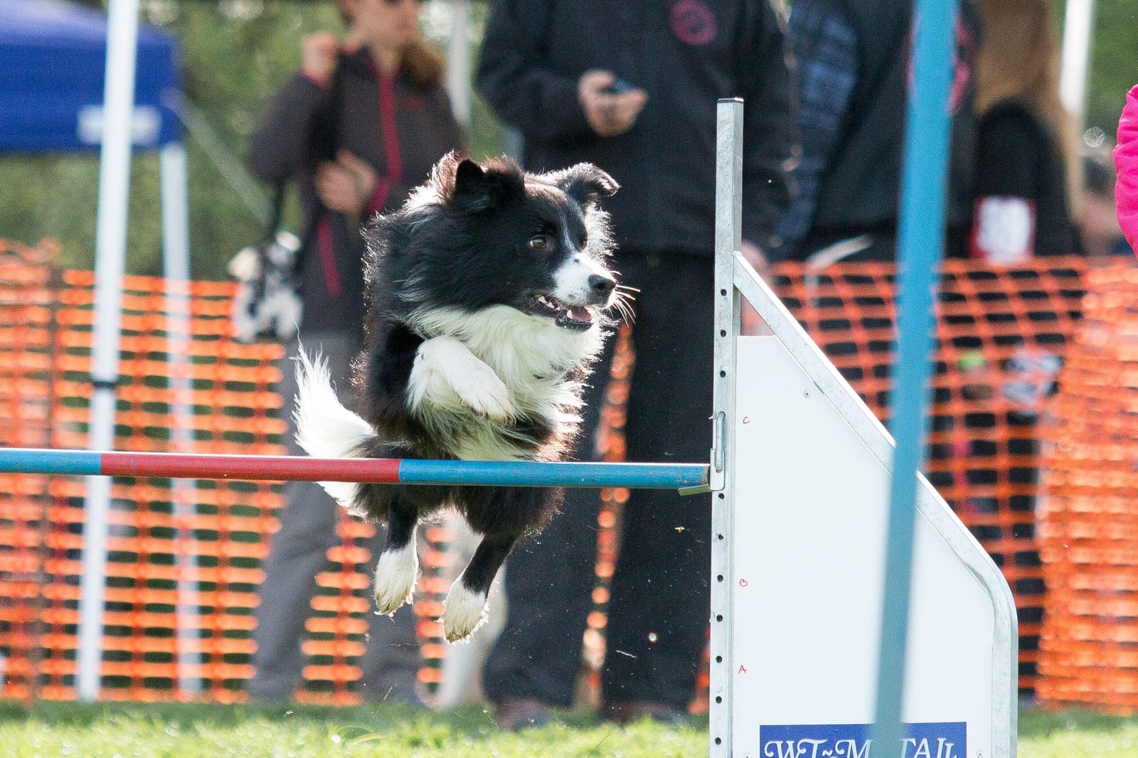 Engaging in Regular Physical Activities (image credits: wikimedia)