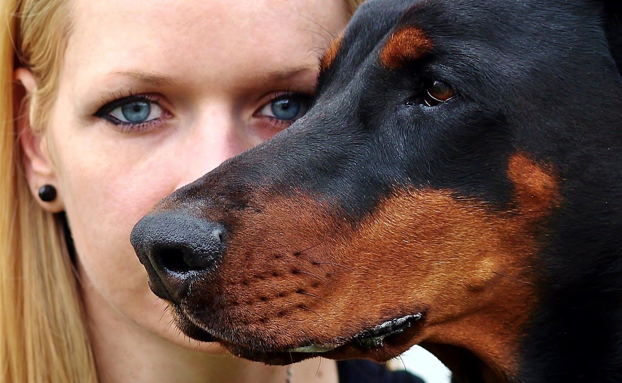 The Eye Contact: A Window to the Soul (image credits: pixabay)