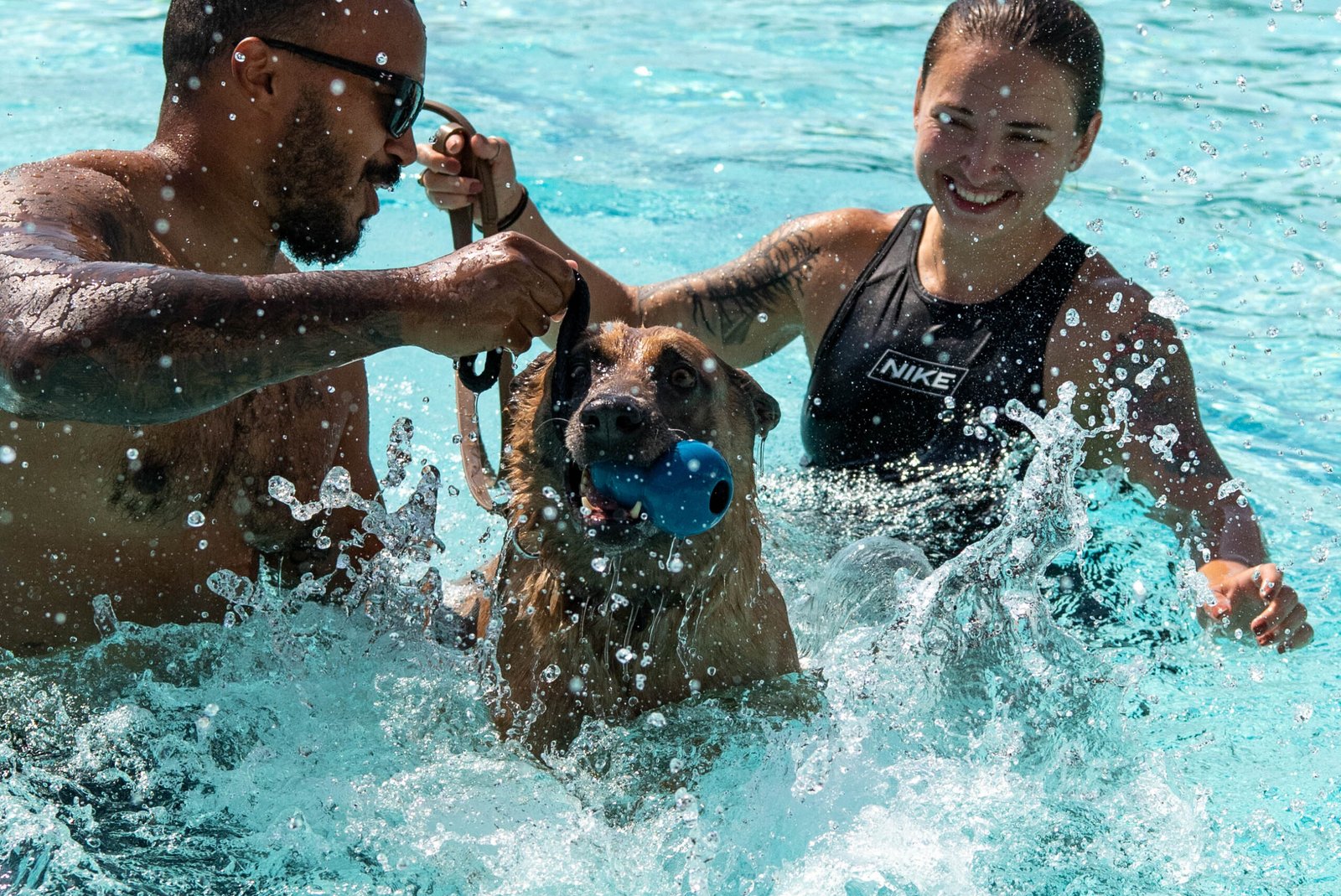 Swimming: A Splash of Joy (image credits: wikimedia)