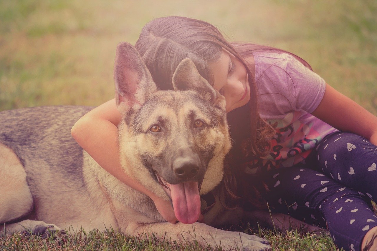 The Loyal Protector (image credits: pixabay)
