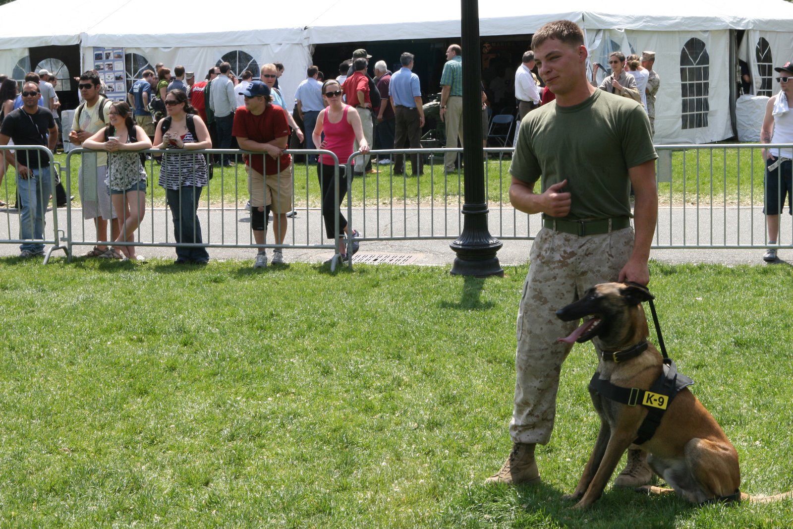 Effortless Training (image credits: wikimedia)
