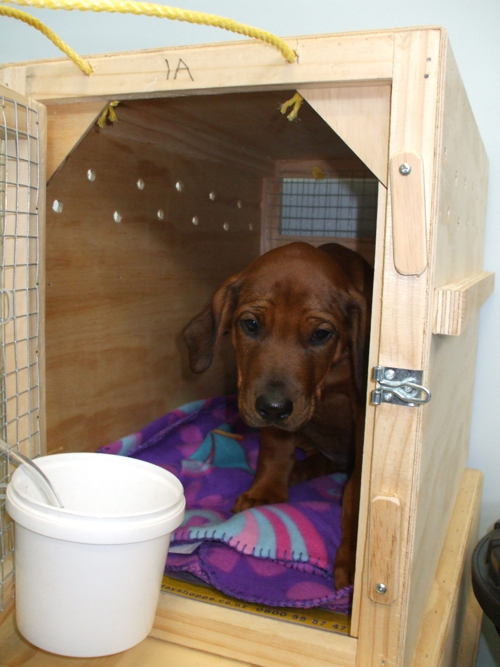 When Crates Become Cruel: Misuse and Mistreatment (image credits: wikimedia)