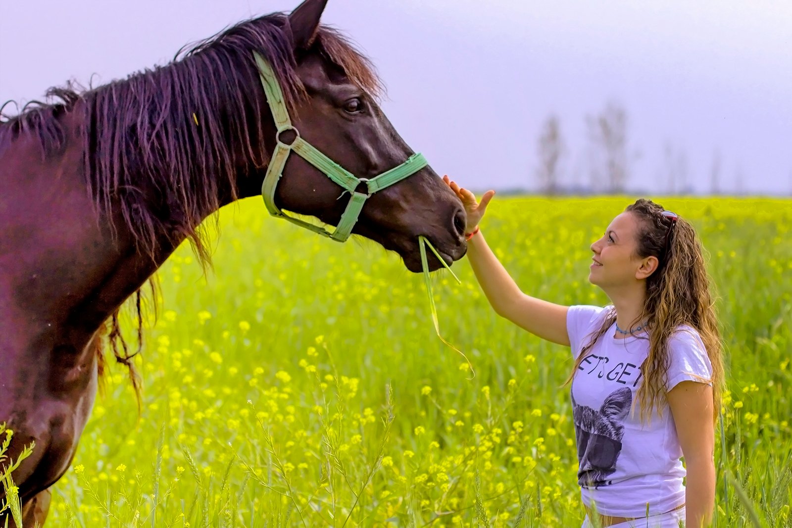 Empathy: Sensing Your Emotions (image credits: wikimedia)
