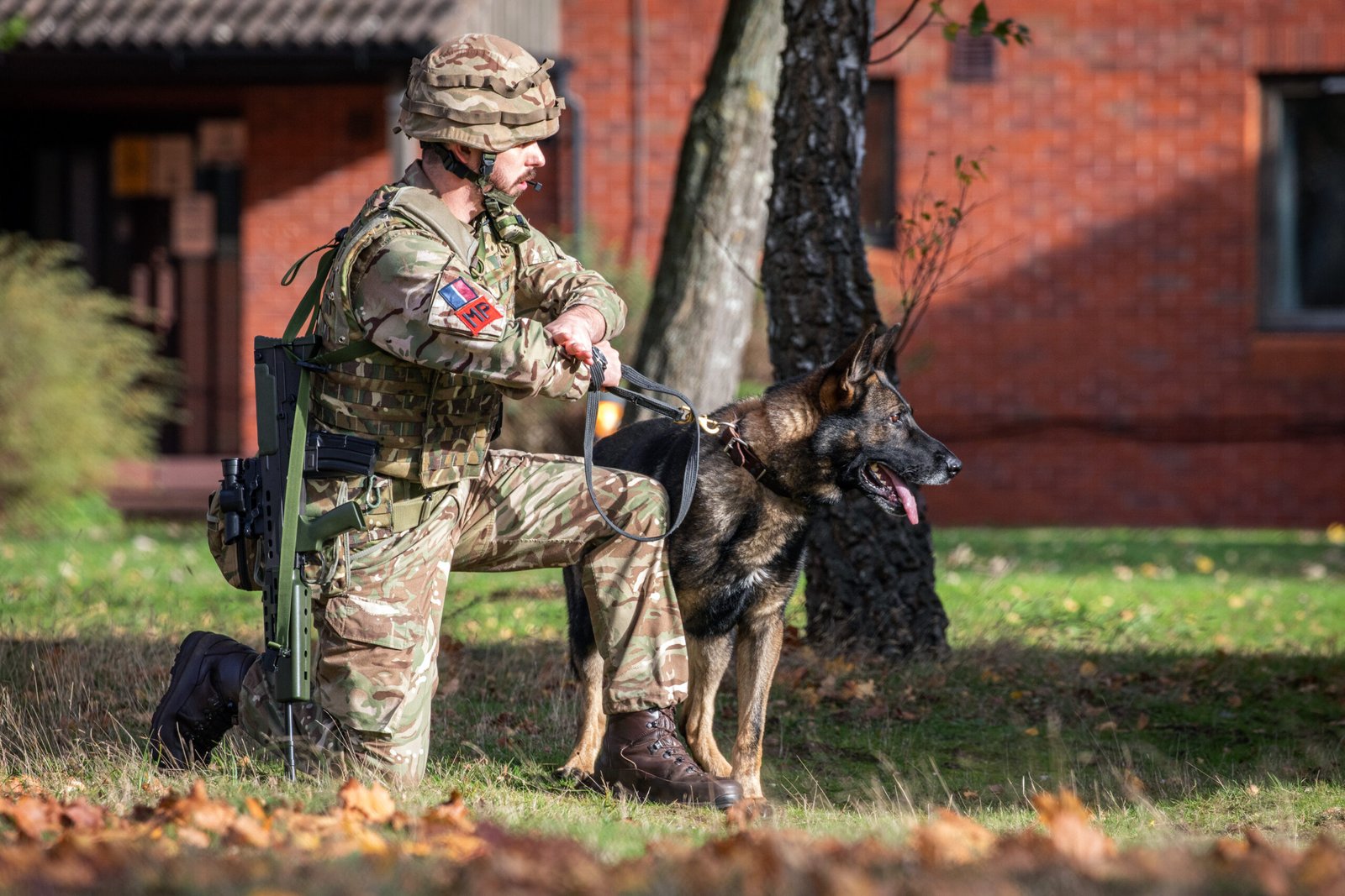 The Role of Scent in Dog Perception (image credits: wikimedia)