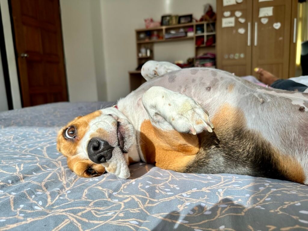 The Importance of Context: Reading the Whole Picture