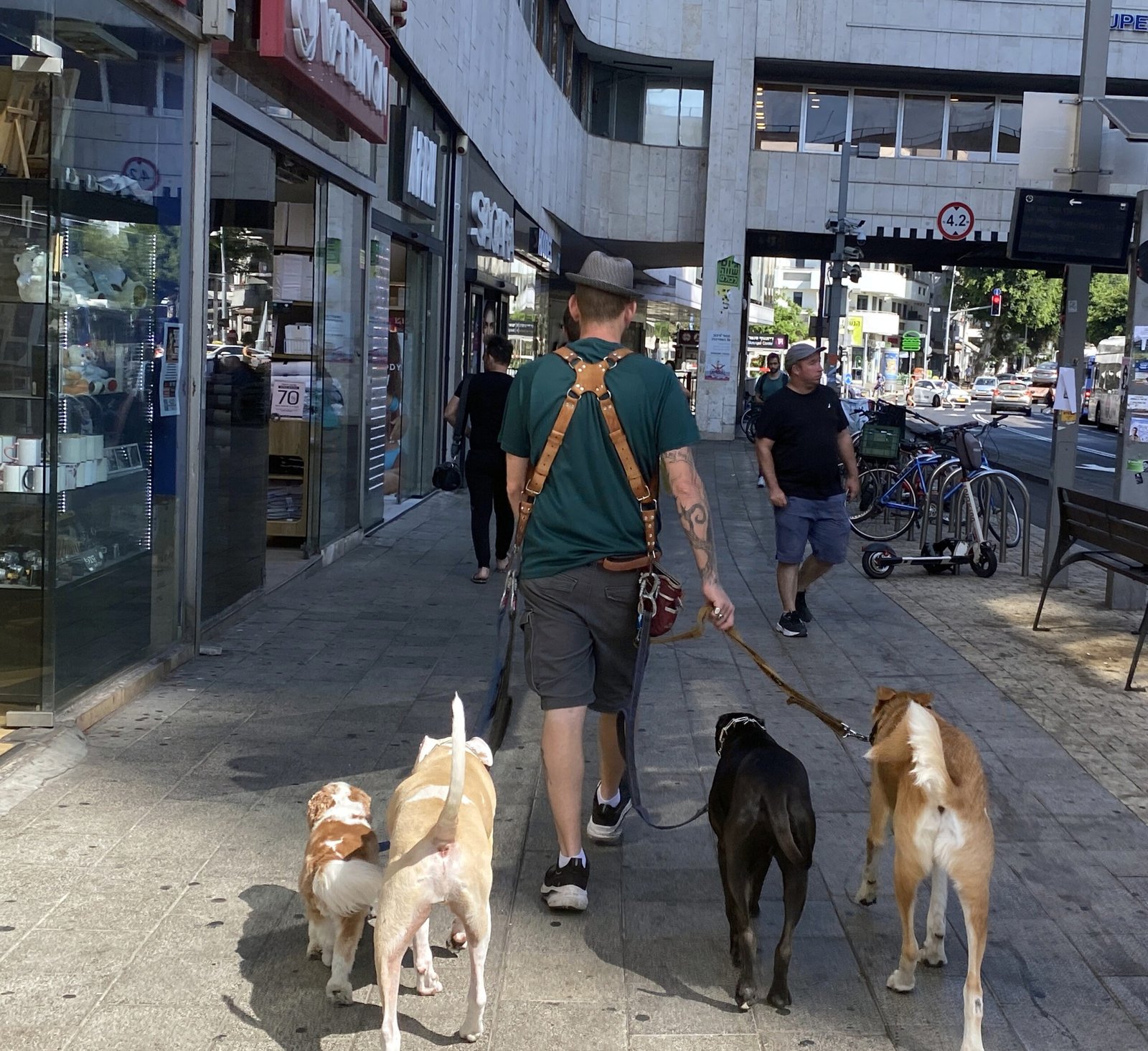 10 Things To Look Out For When Choosing a Dog Sitter