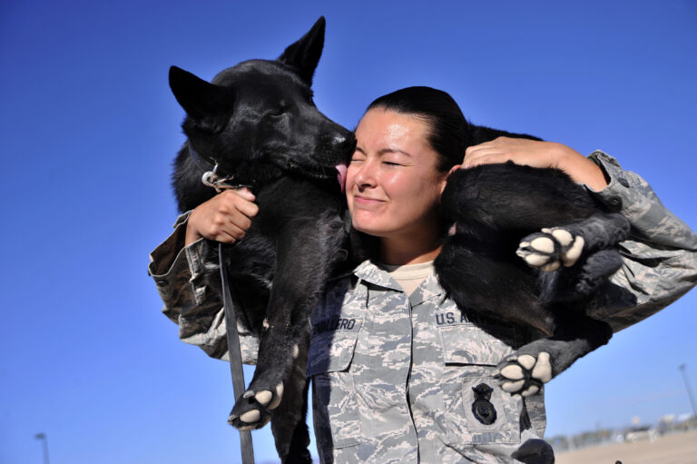 10 Ways To Bond With A German Shepherd