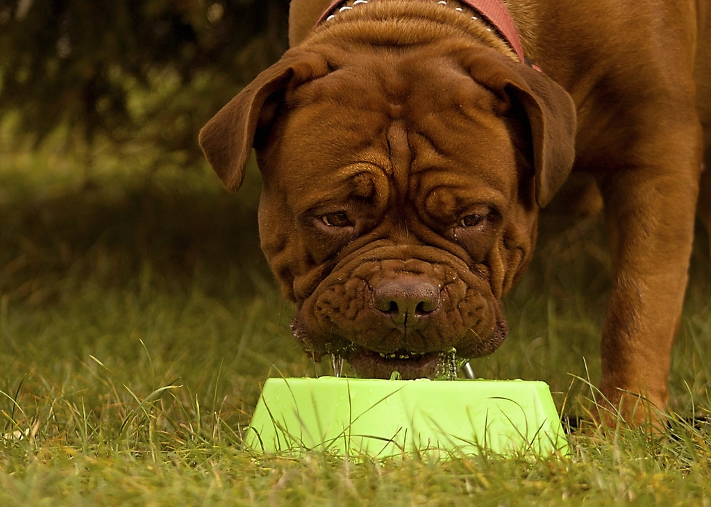 Interactive Feeding (image credits: rawpixel)