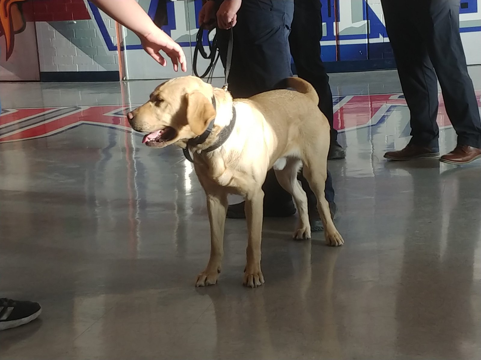 Conclusion: Balancing Ethics and Health (image credits: wikimedia)