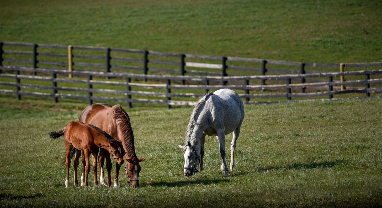 Create a Safe Environment (image credits: wikimedia)