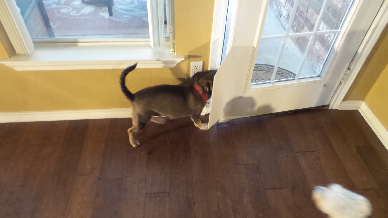 Routine and Predictability (image credits: wikimedia)