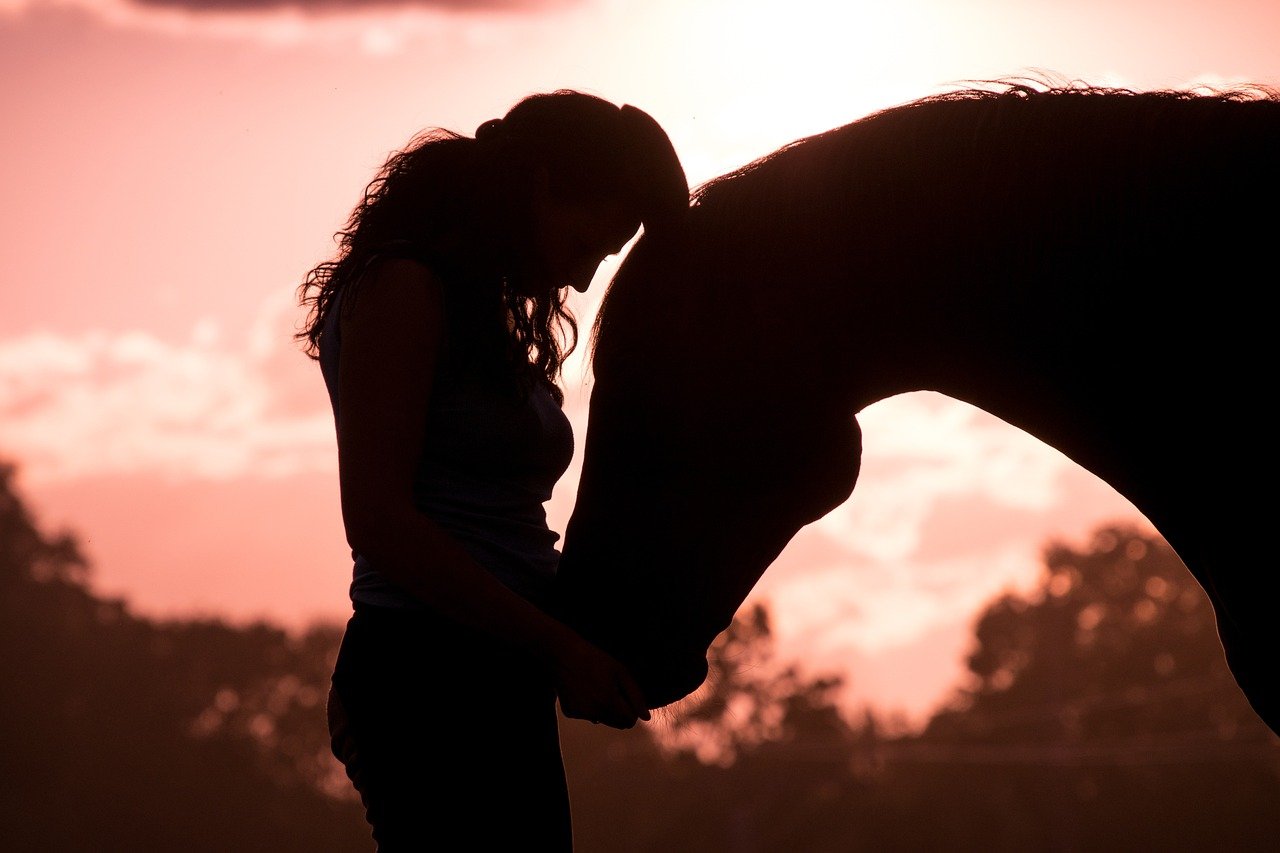 12 Signs Your Horse Trusts You with Their Whole Heart ( And 4 Signs They’re Still Unsure)