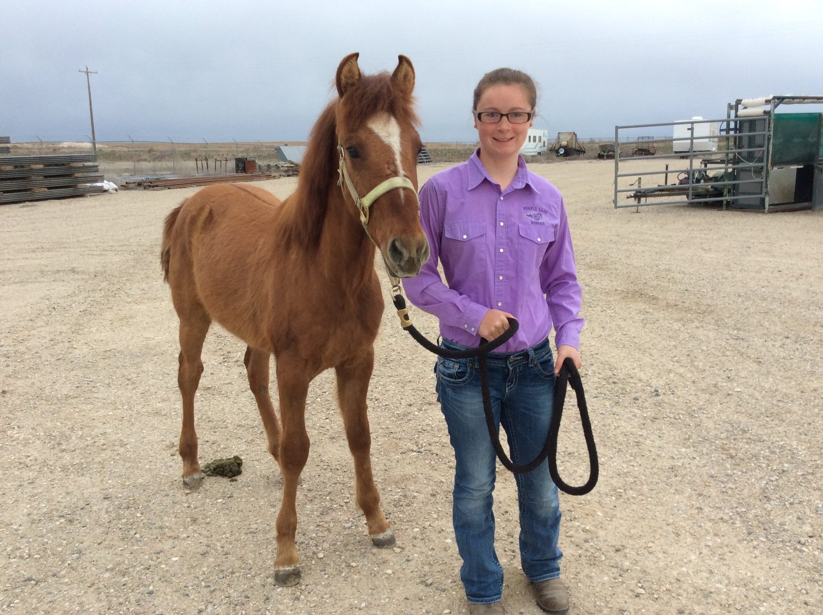 Long-Term Commitment (image credits: wikimedia)