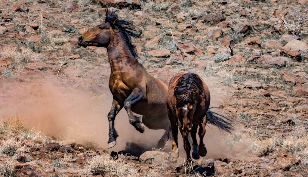 Environmental Impact (image credits: rawpixel)