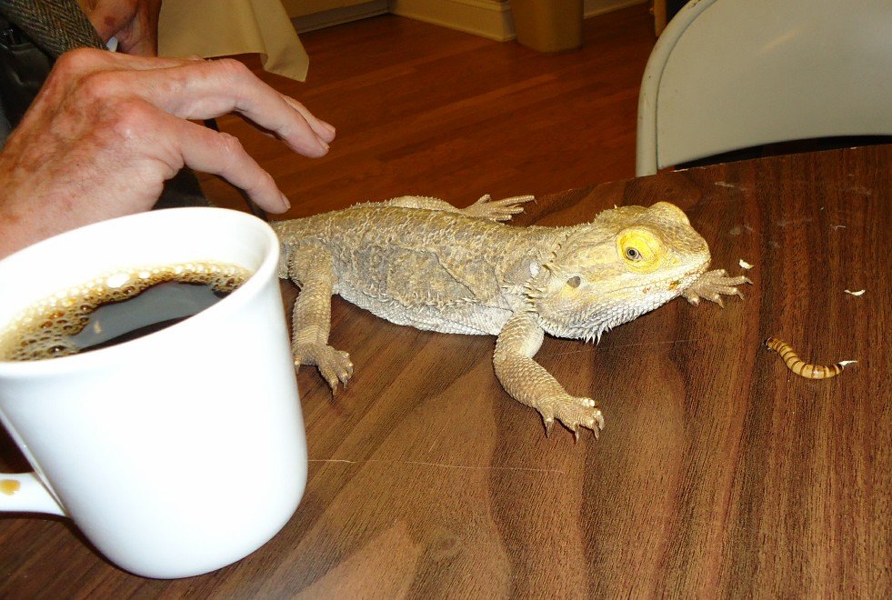 Building Trust Through Time (image credits: wikimedia)