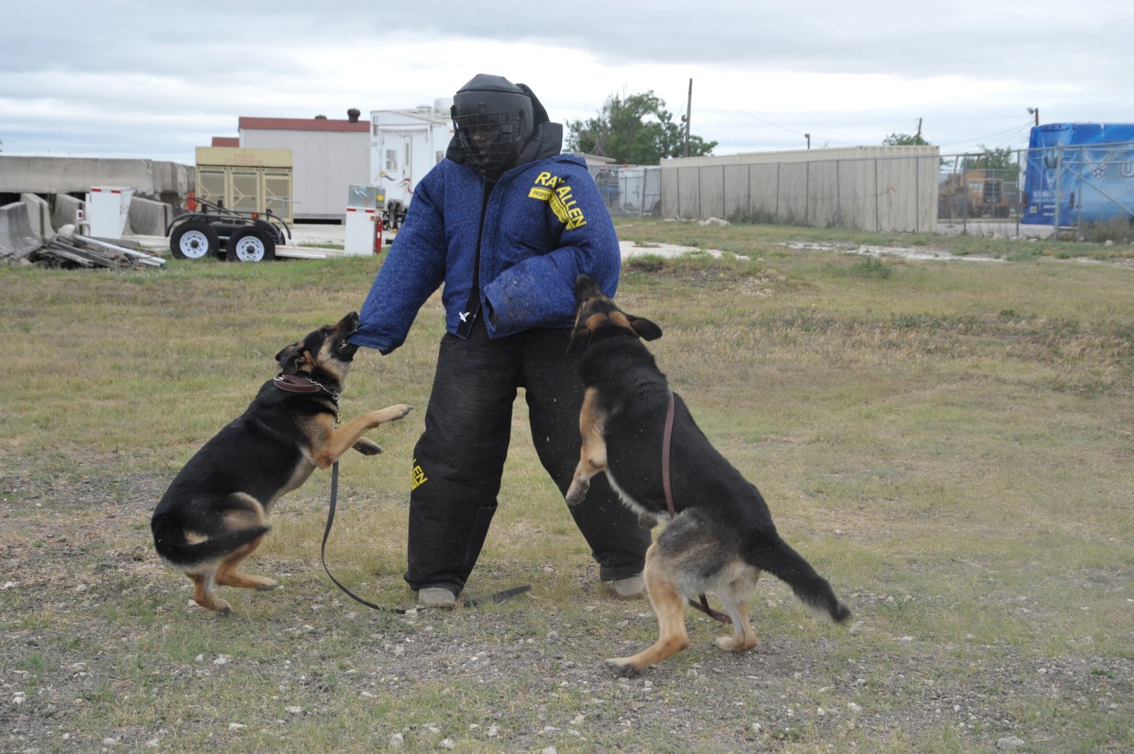 Forced Interactions: Uncomfortable and Unwanted (image credits: wikimedia)