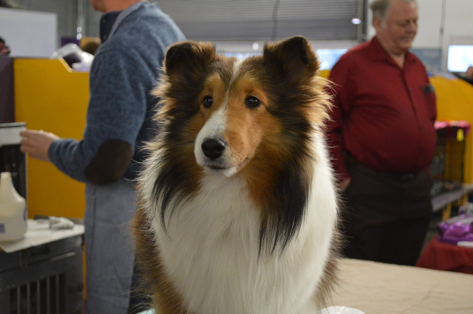 The Power of Presence (image credits: wikimedia)