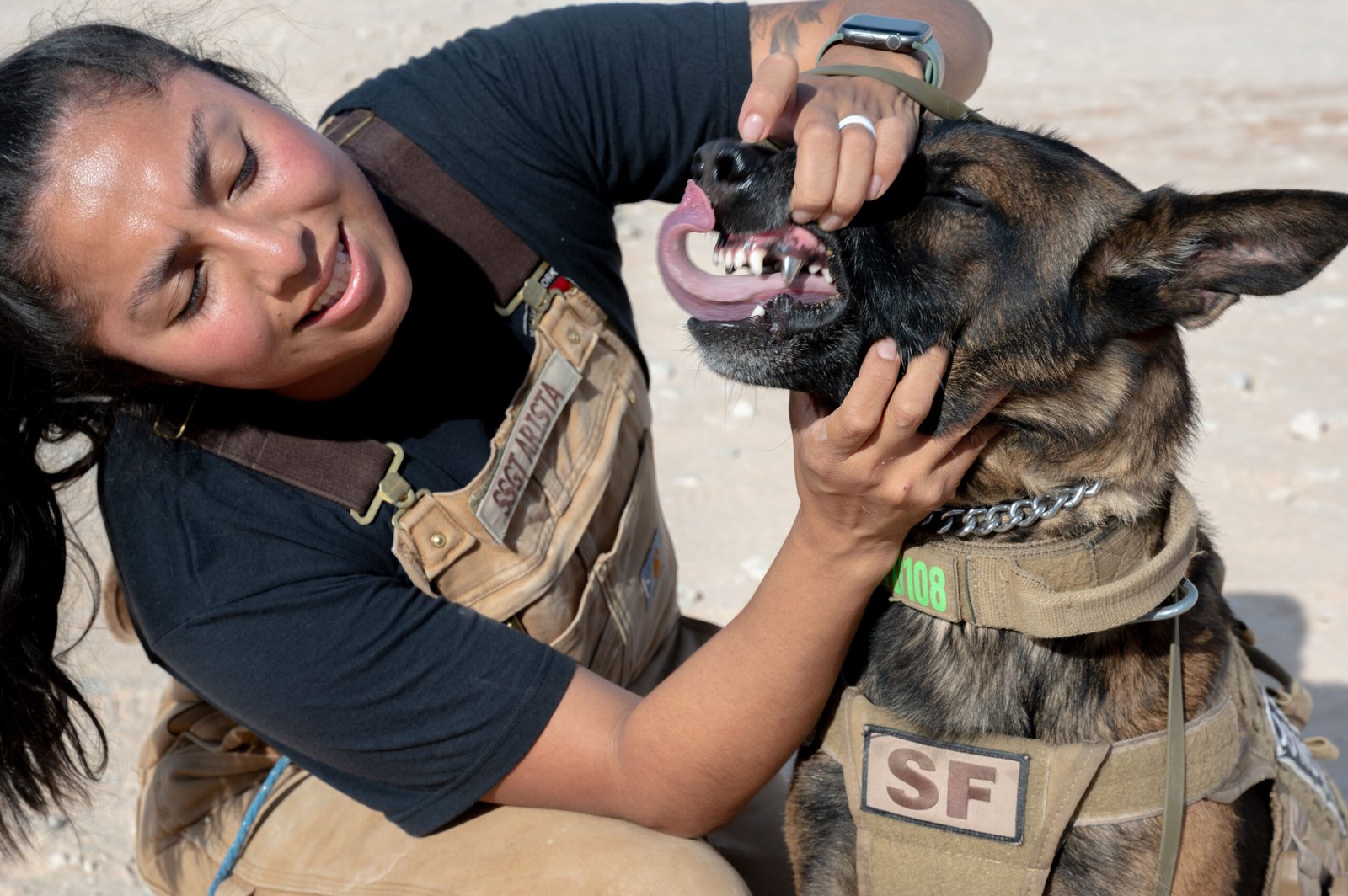 Challenges and Responsibilities (image credits: wikimedia)