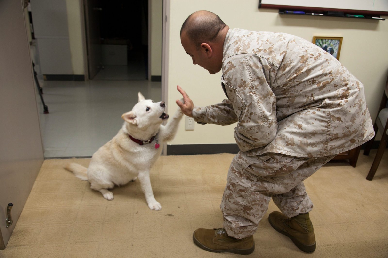 Considering Health and Longevity (image credits: wikimedia)