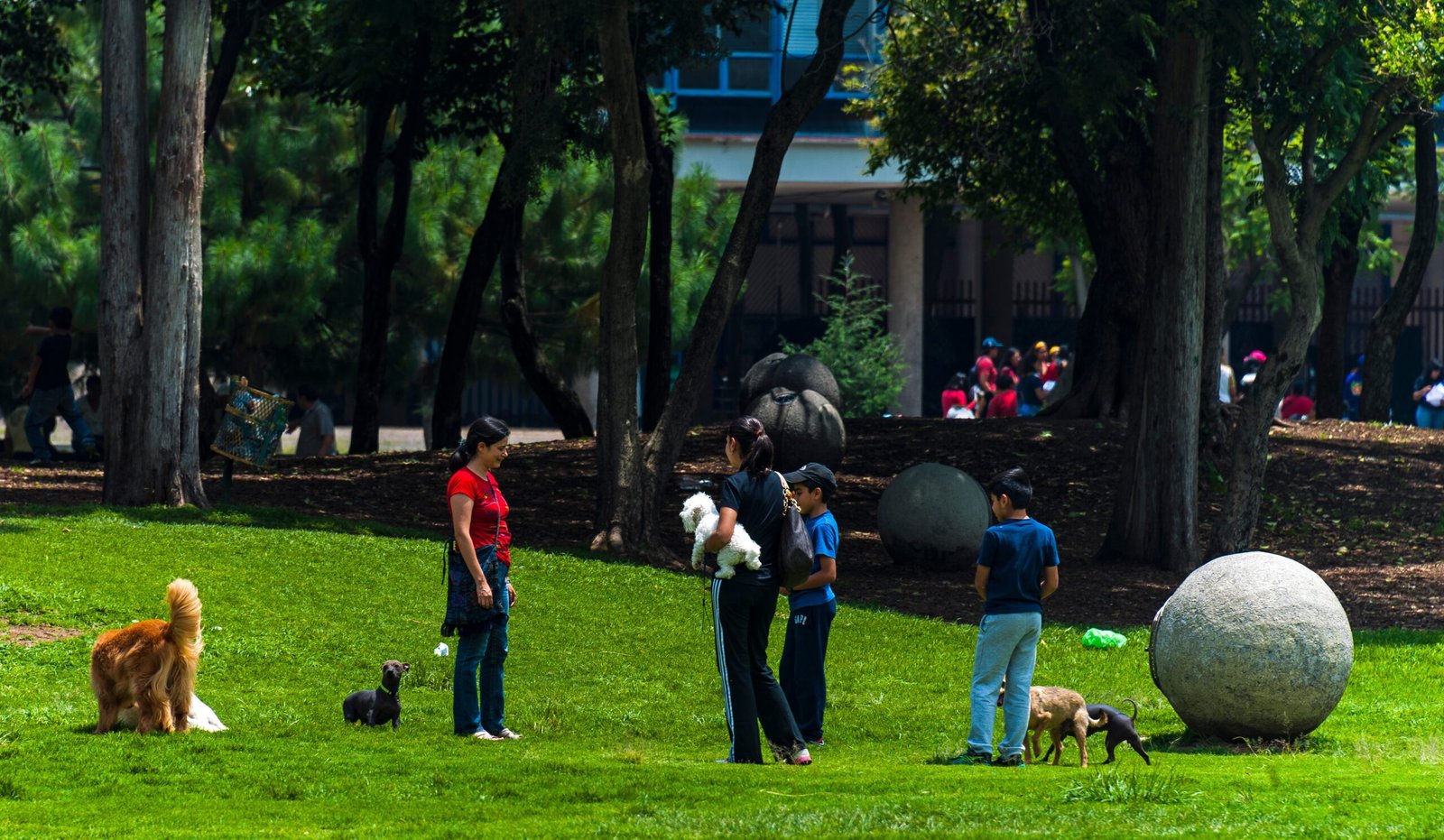 Encouraging Social Interaction (image credits: wikimedia)